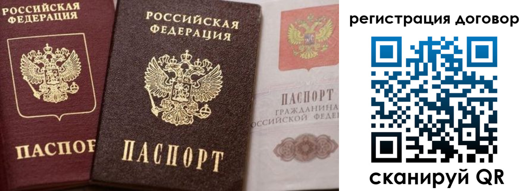 прописка 2025 в Курске