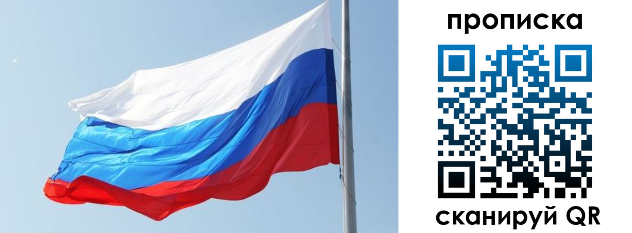 прописка для школы в Курске